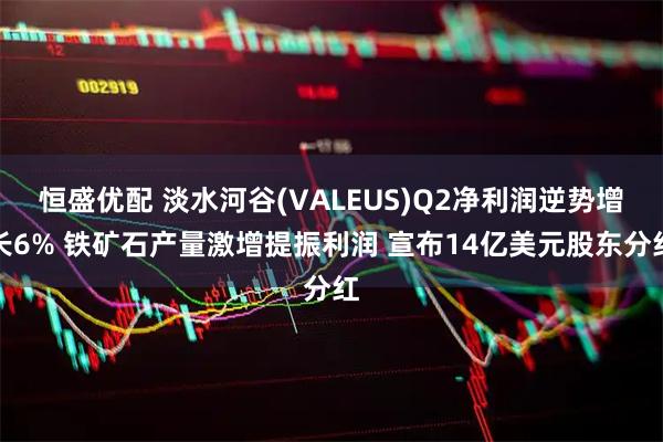恒盛优配 淡水河谷(VALEUS)Q2净利润逆势增长6% 铁矿石产量激增提振利润 宣布14亿美元股东分红