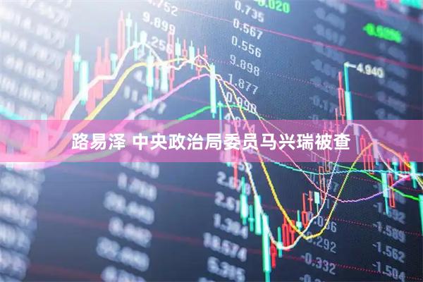 路易泽 中央政治局委员马兴瑞被查