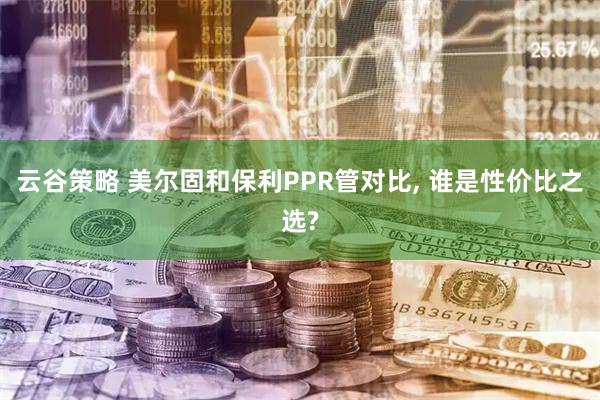 云谷策略 美尔固和保利PPR管对比, 谁是性价比之选?