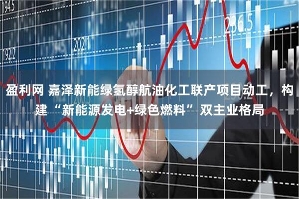 盈利网 嘉泽新能绿氢醇航油化工联产项目动工，构建 “新能源发电+绿色燃料” 双主业格局
