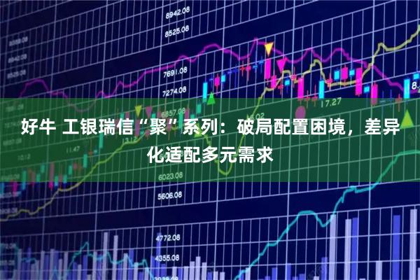 好牛 工银瑞信“聚”系列：破局配置困境，差异化适配多元需求